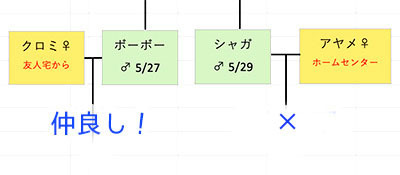 8204.jpg