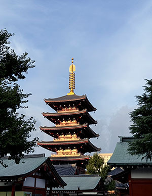 IMG_0804.JPG