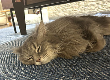 IMG_1328.jpeg