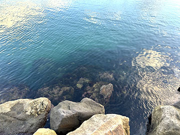 IMG_1608.jpeg