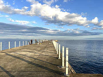 IMG_1614.jpeg