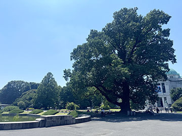 IMG_7232.JPG