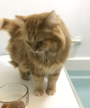 やだやだ