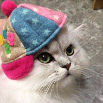 ぴんぽんぱん