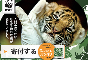 密猟だめ!