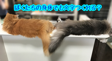 あおうみ文字