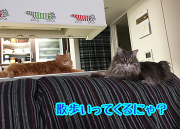 行ってくるよ~