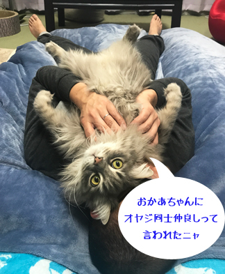 でろーん