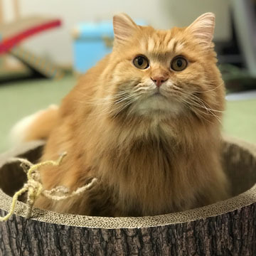 きょとーん