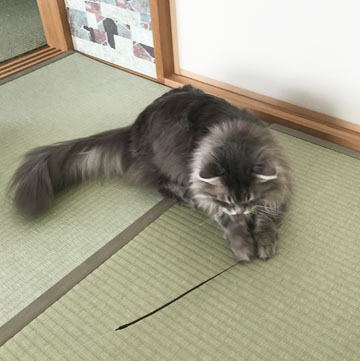 紐~~~