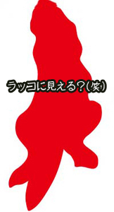 ラッコ