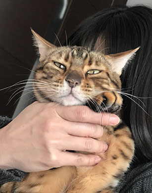 めろめろよ