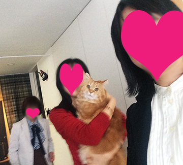 うみ登場