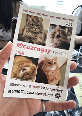 あおうみかーど