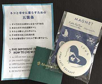 また遊ぼうね!