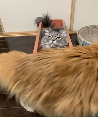 IMG_0385.jpeg