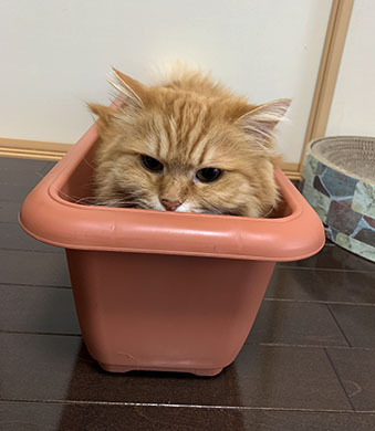 IMG_0402.jpeg
