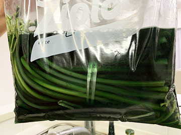 IMG_0540.jpeg