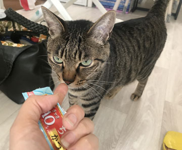 来てくれた!