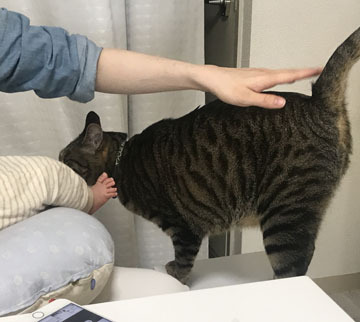 すりすり