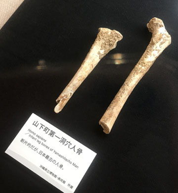人骨