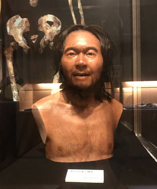 こんな顔です