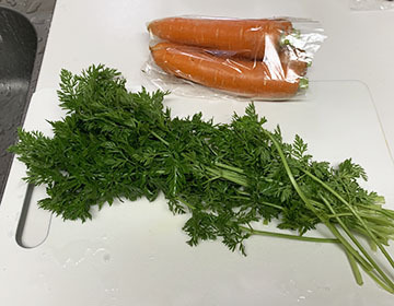 IMG_1102.jpeg