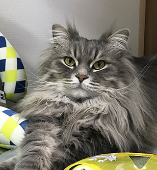 にょきーーー