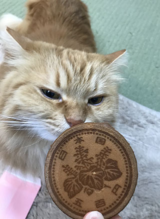 すんすん