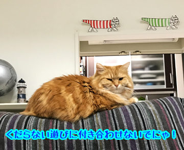 ごめんよ