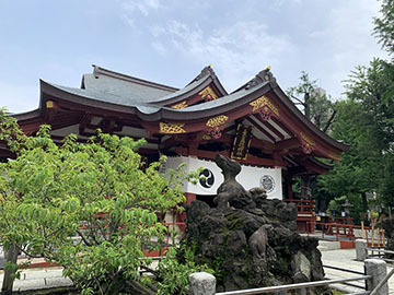 IMG_1608.jpeg