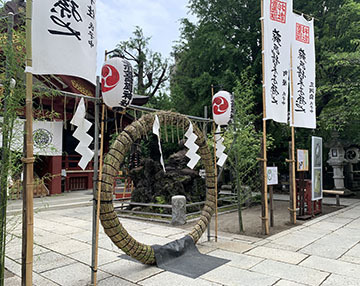IMG_1609.jpeg