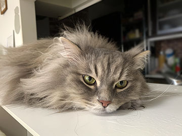 IMG_2480.jpeg