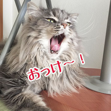 あお