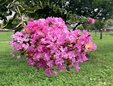 IMG_2675.jpeg