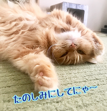 うみ