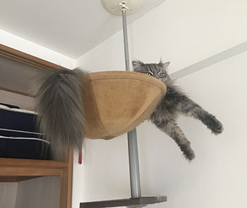 でろーん