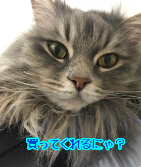 おかーちゃんがほしい