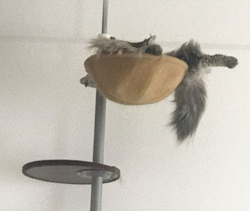 すごいねー
