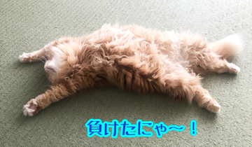 ざんねん