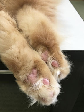 またね