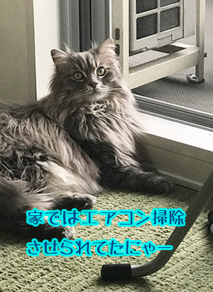 早速働いていたね