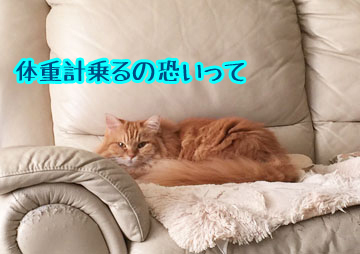 うみちゃん