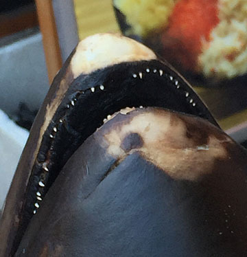 うれしい