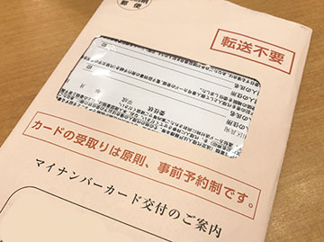 これです