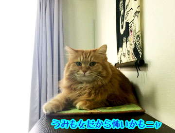 怖いかな?(笑)