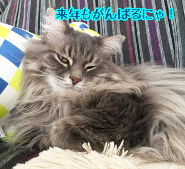 がんばろうね