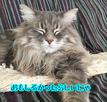 たのしかった