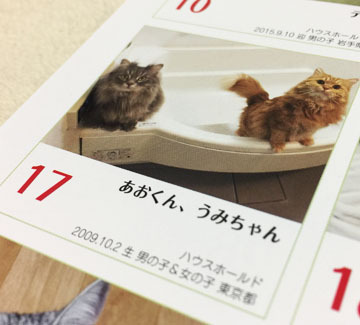 可愛く撮れてるかな？