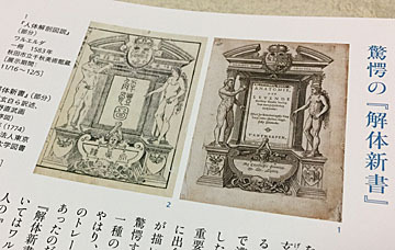 解体新書